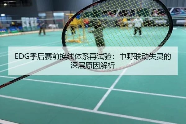 EDG季后赛前换线体系再试验：中野联动失灵的深层原因解析
